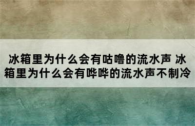 冰箱里为什么会有咕噜的流水声 冰箱里为什么会有哗哗的流水声不制冷